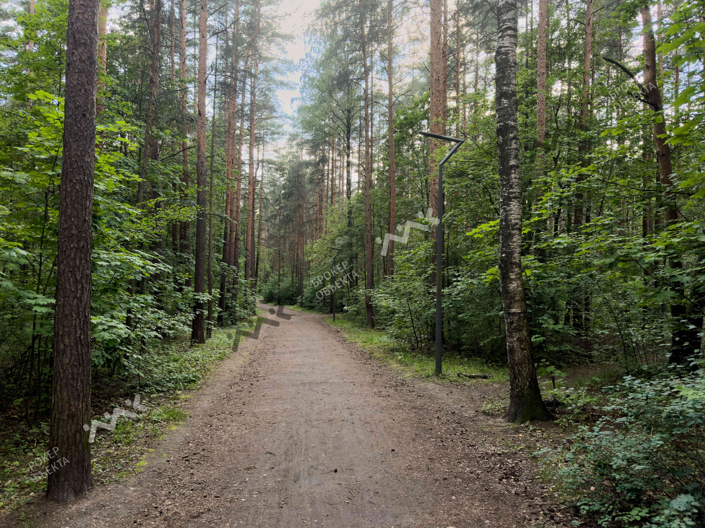 Фото объекта